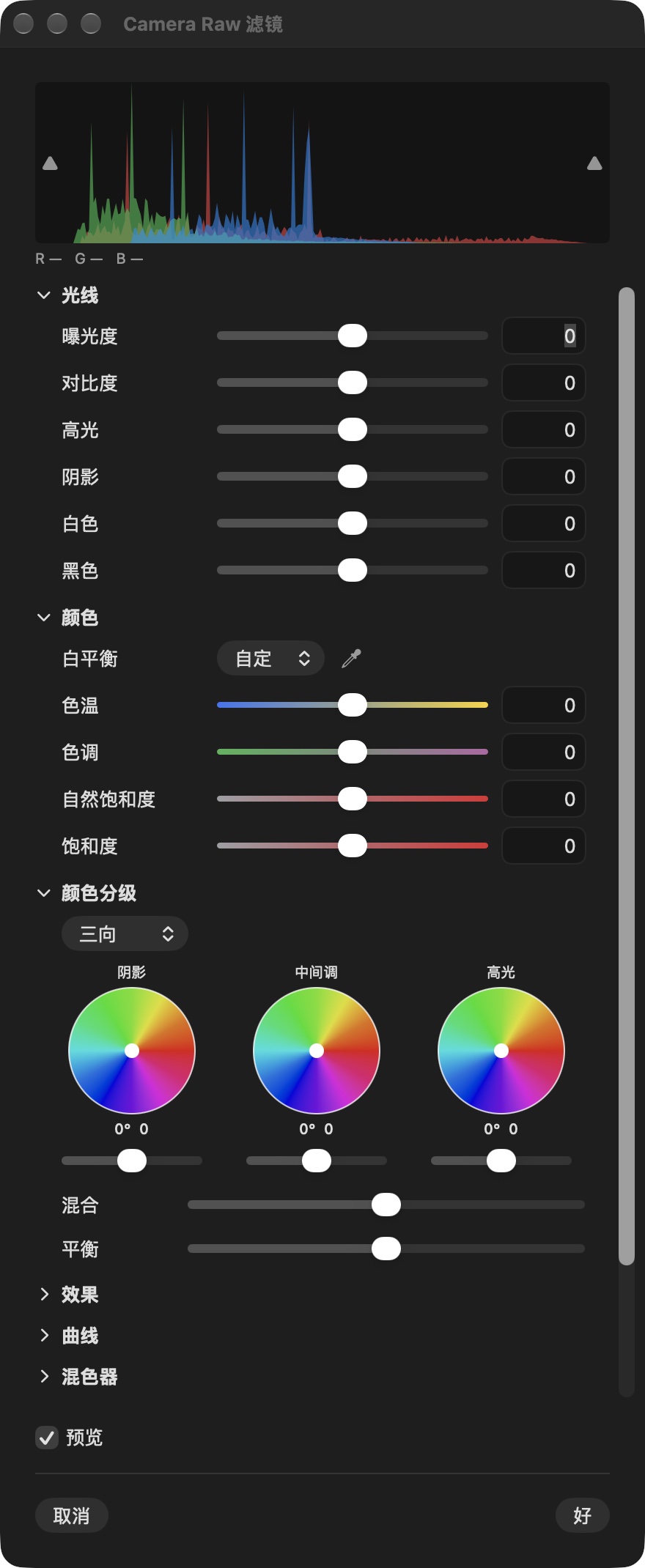 PhotoDuo 的 Camera Raw 面板（简体中文）
